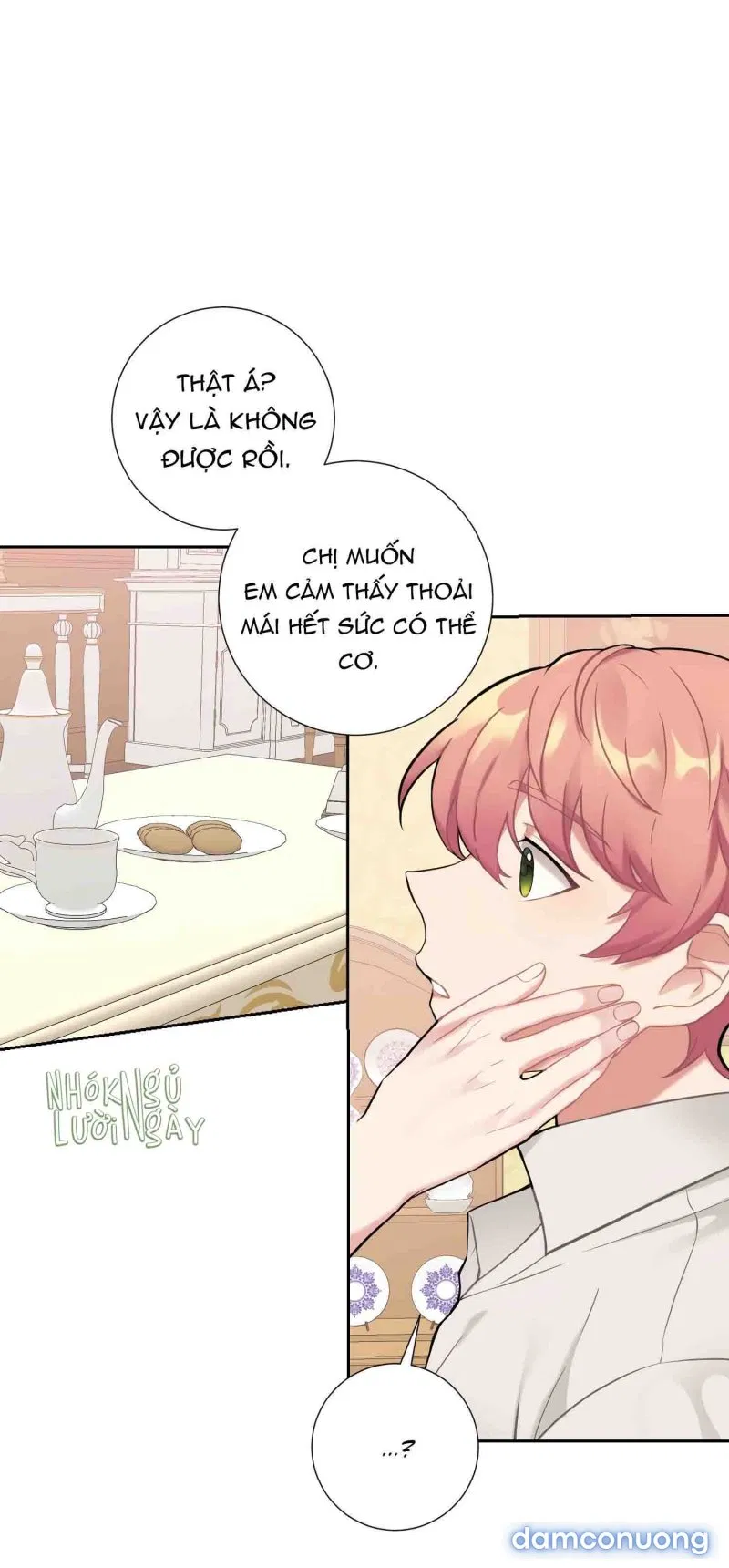 Cô Chủ Và Người Hầu 