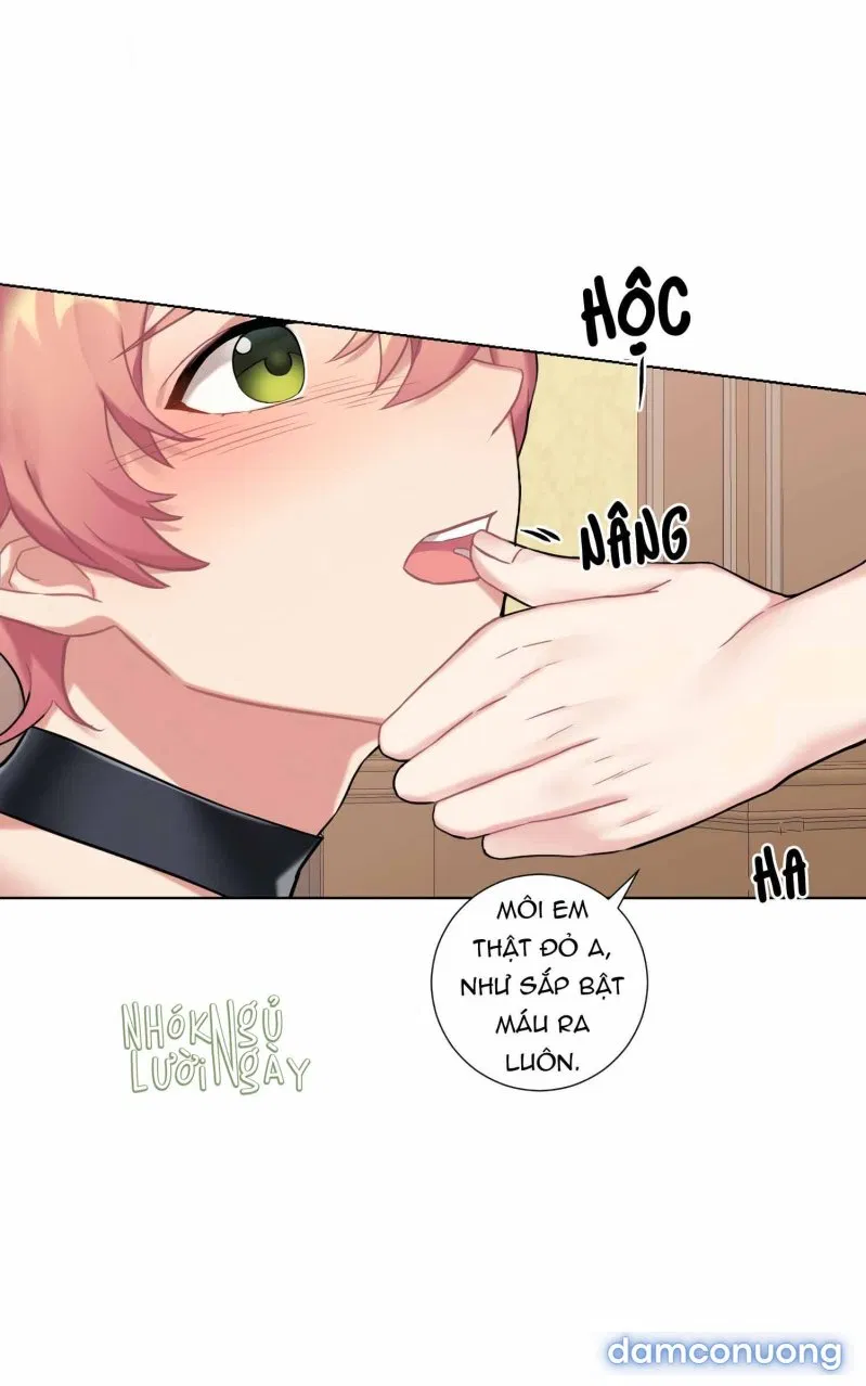 Cô Chủ Và Người Hầu 