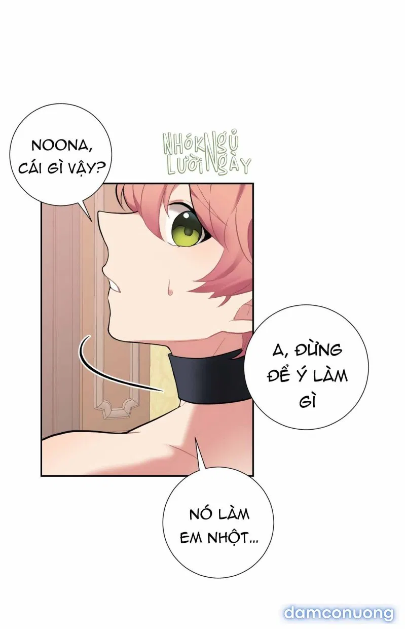Cô Chủ Và Người Hầu 