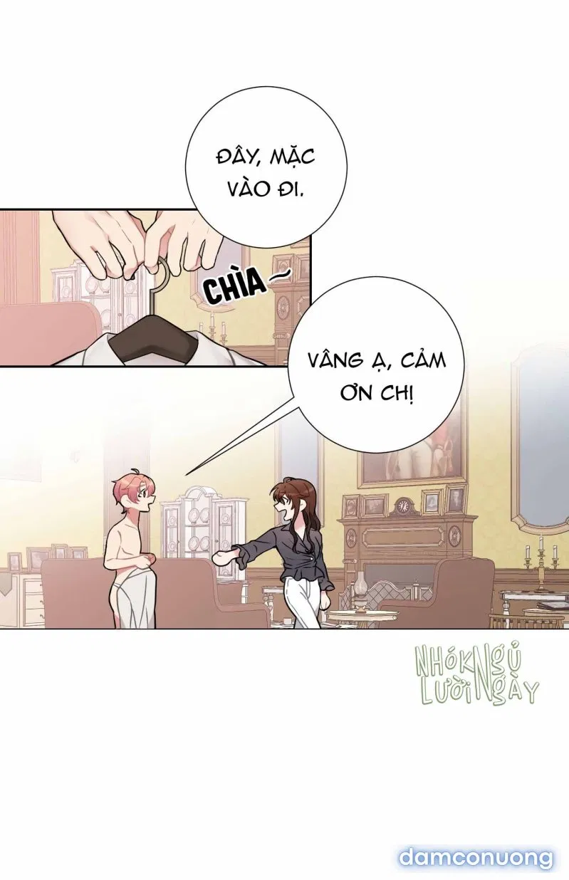 Cô Chủ Và Người Hầu 
