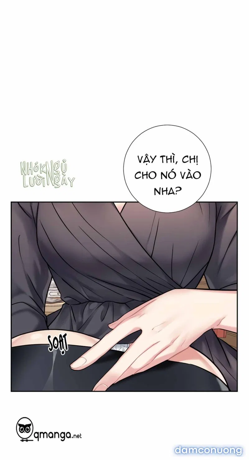 Cô Chủ Và Người Hầu 
