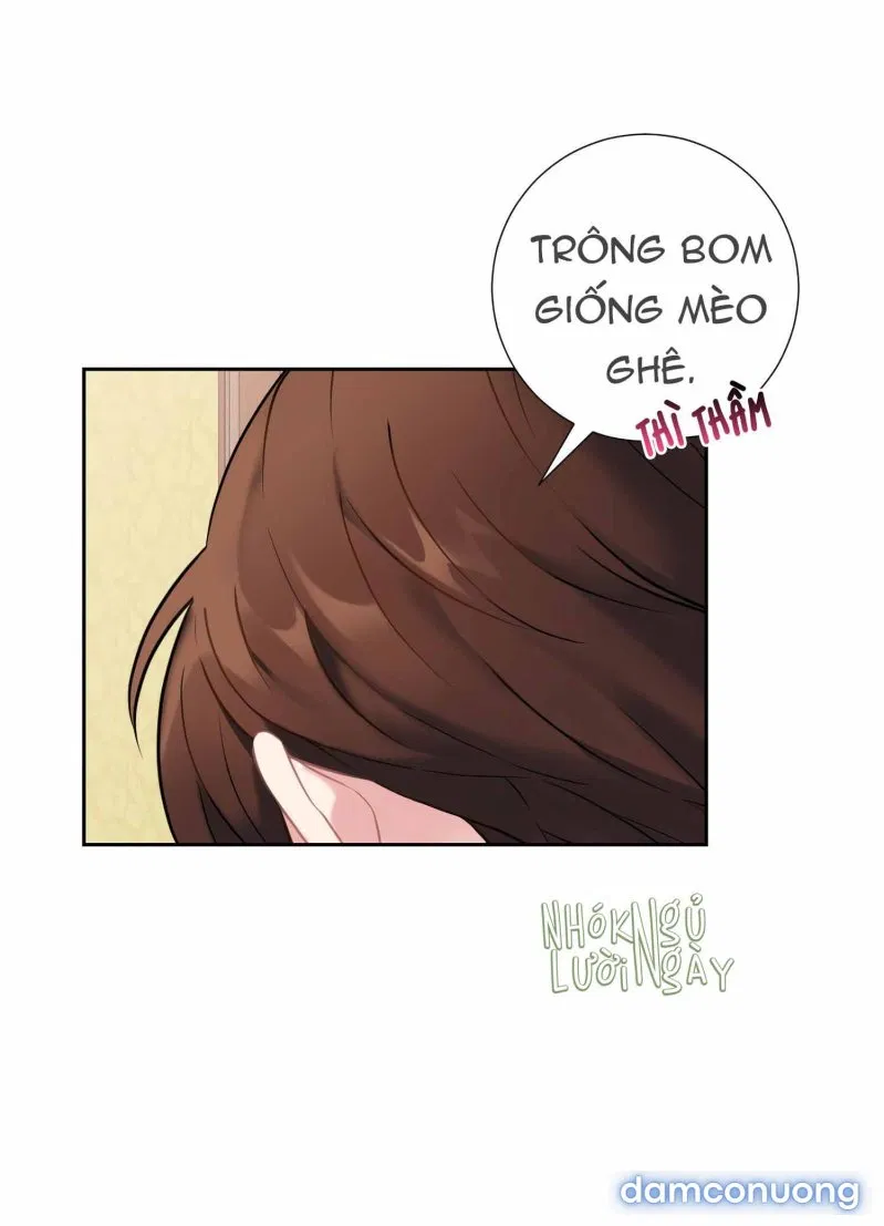 Cô Chủ Và Người Hầu 