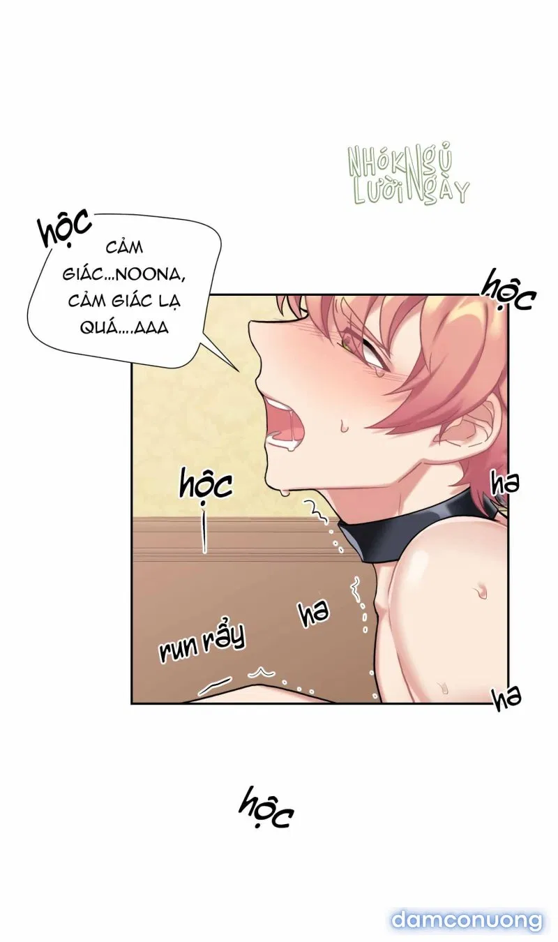 Cô Chủ Và Người Hầu 