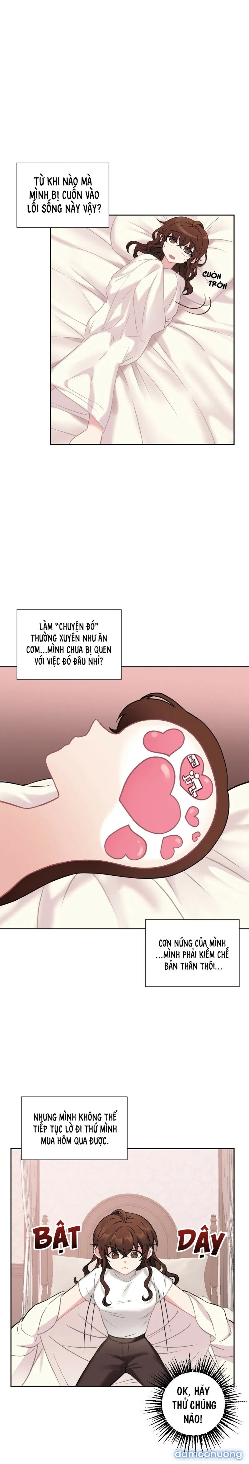 Cô Chủ Và Người Hầu 