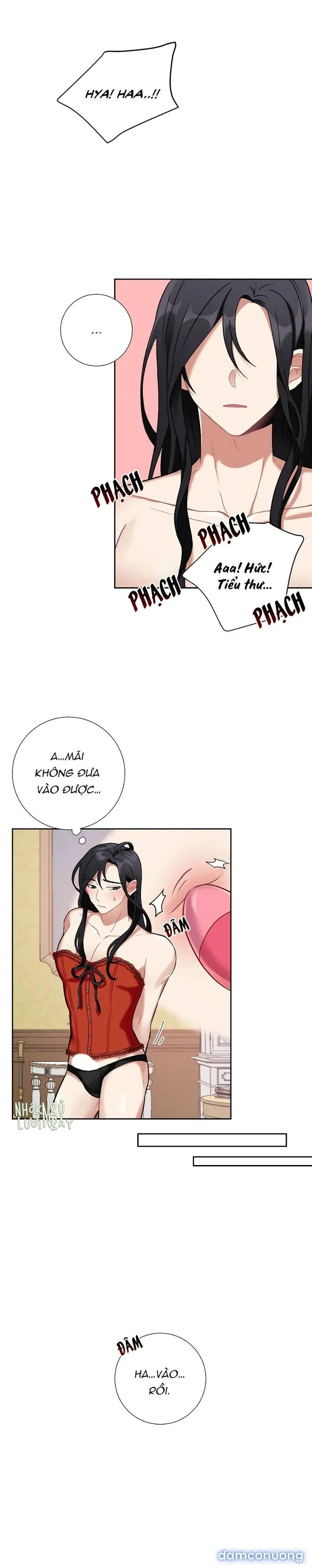 Cô Chủ Và Người Hầu 