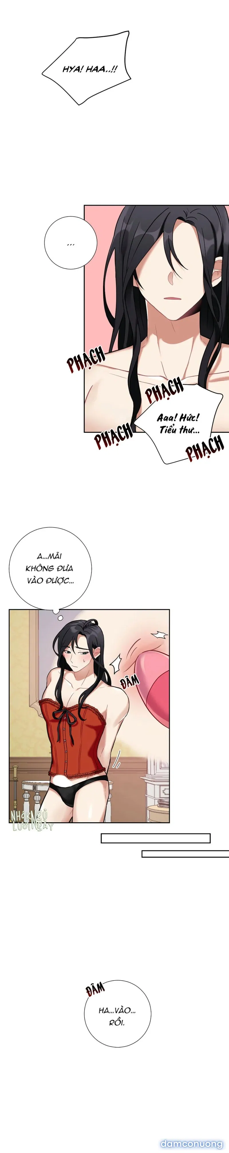 Cô Chủ Và Người Hầu 