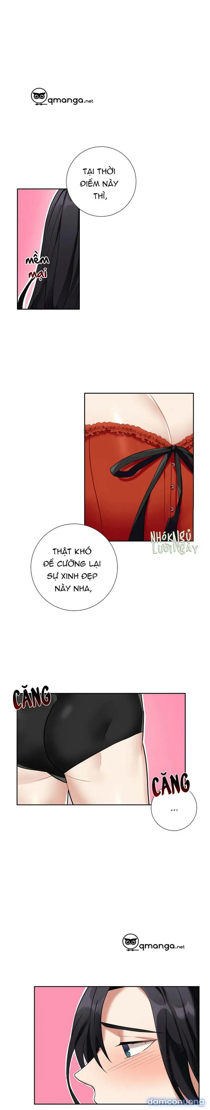 Cô Chủ Và Người Hầu 
