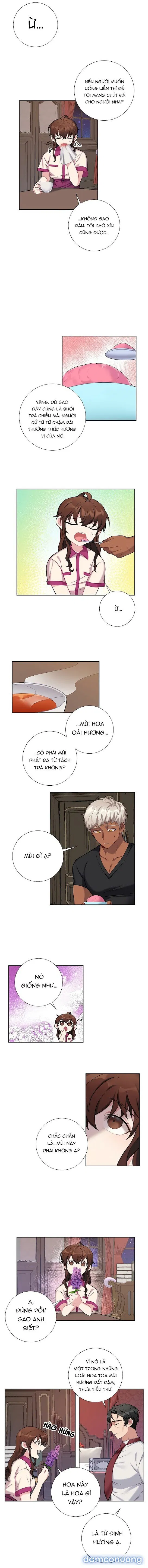 Cô Chủ Và Người Hầu 
