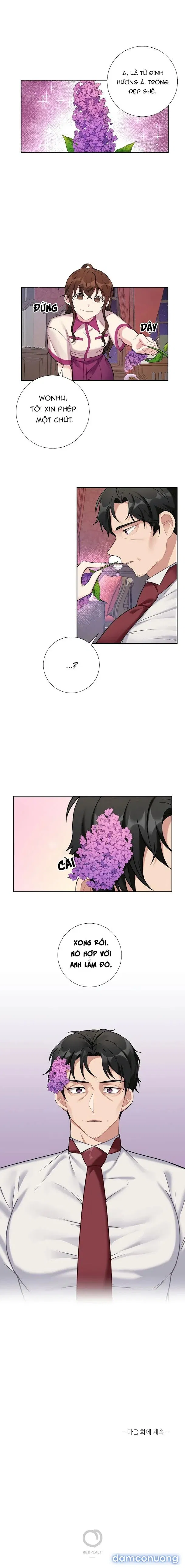 Cô Chủ Và Người Hầu 