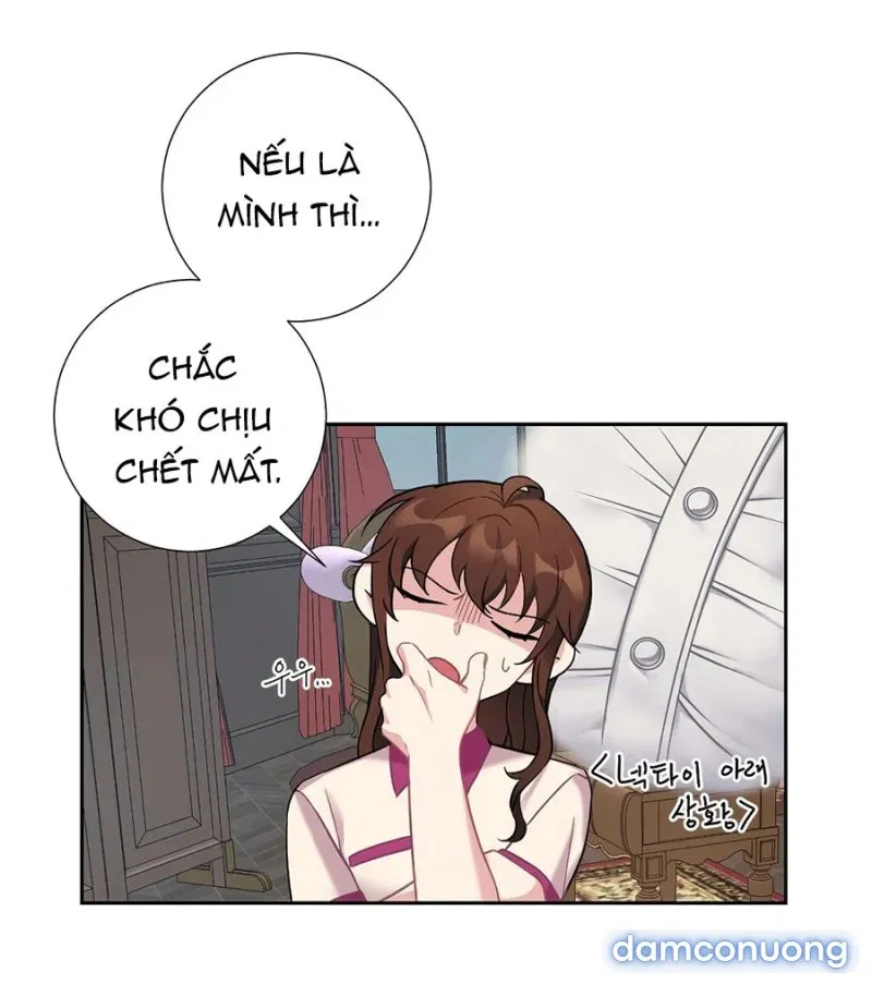 Cô Chủ Và Người Hầu 