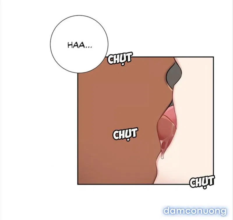Cô Chủ Và Người Hầu 