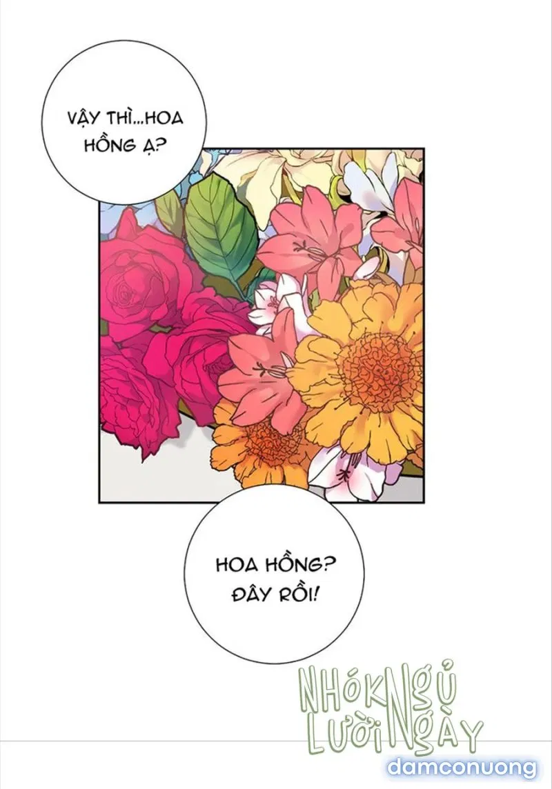 Cô Chủ Và Người Hầu 