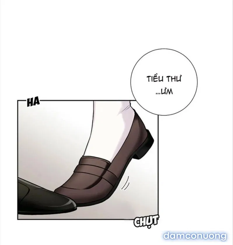 Cô Chủ Và Người Hầu 