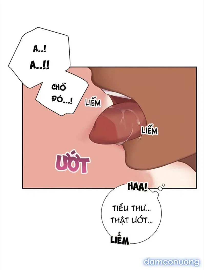 Cô Chủ Và Người Hầu 