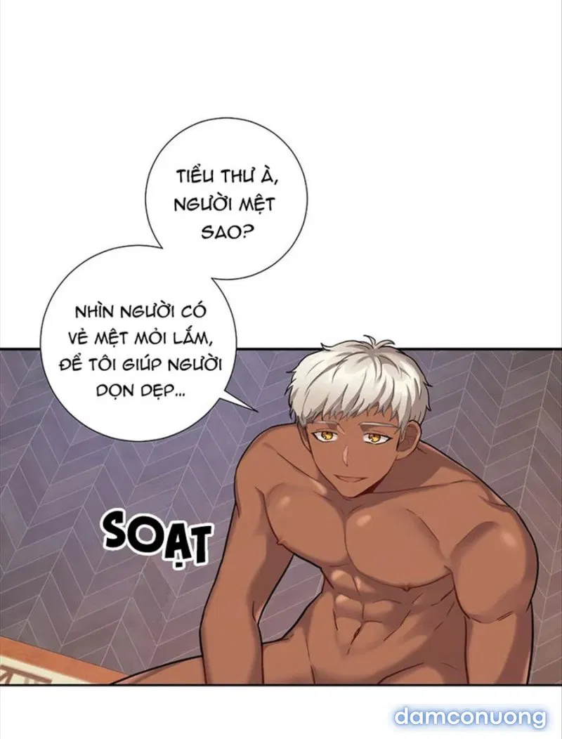 Cô Chủ Và Người Hầu 