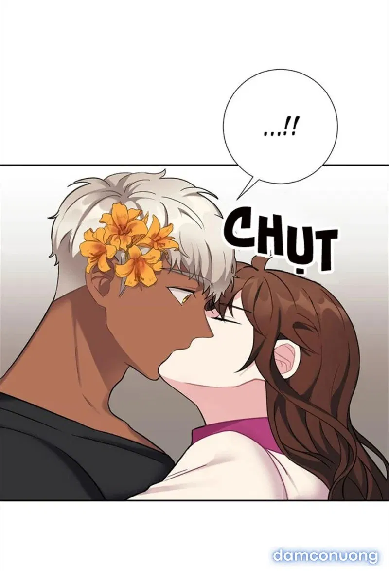 Cô Chủ Và Người Hầu 