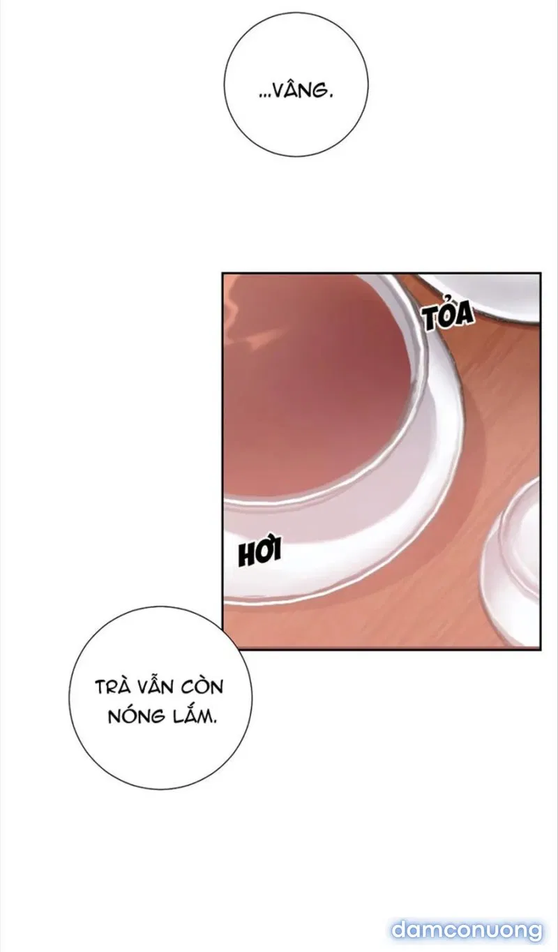 Cô Chủ Và Người Hầu 