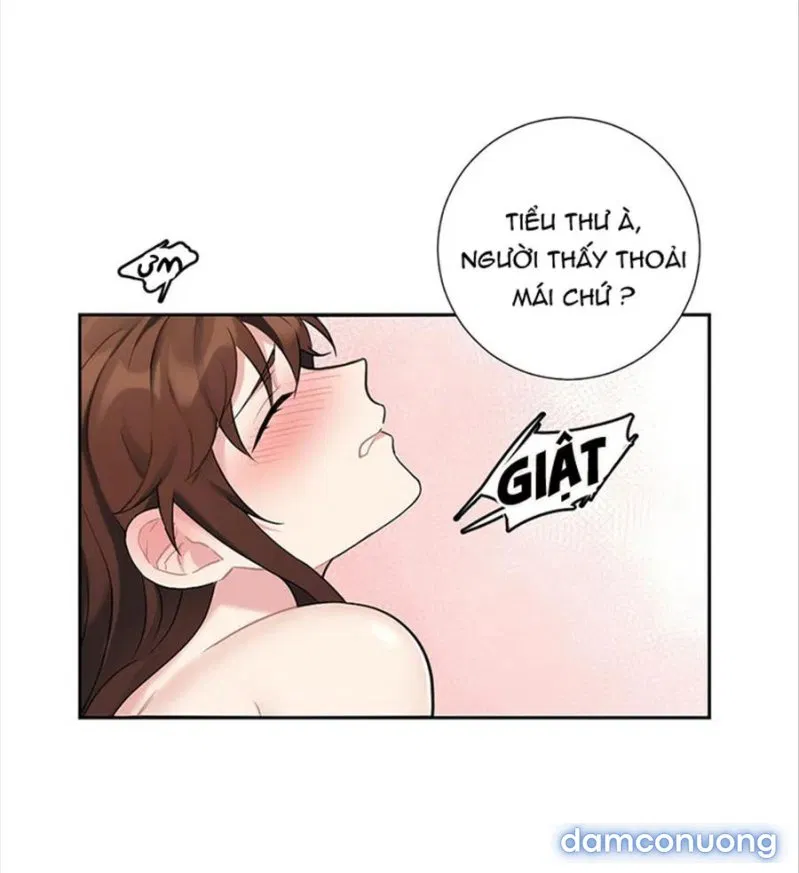 Cô Chủ Và Người Hầu 