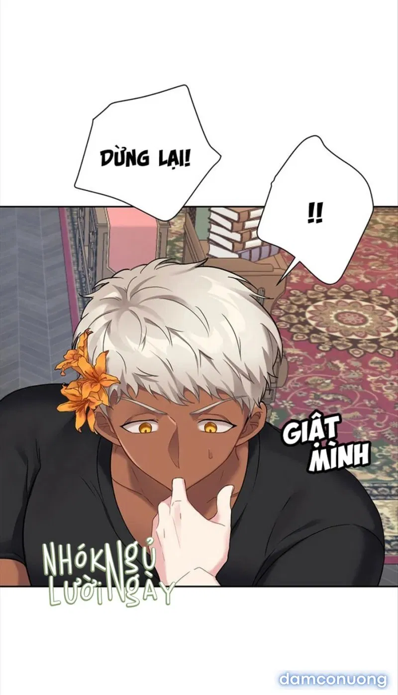 Cô Chủ Và Người Hầu 