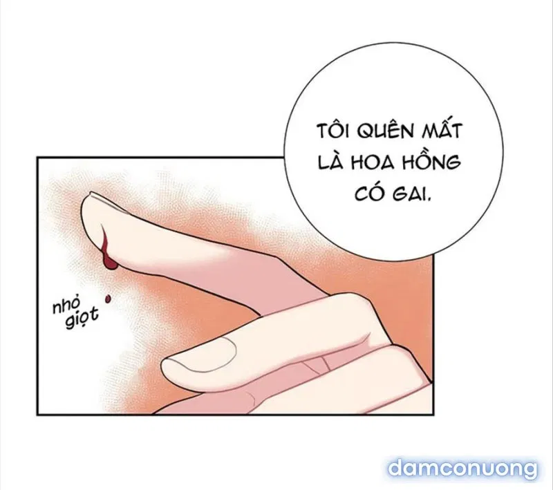 Cô Chủ Và Người Hầu 