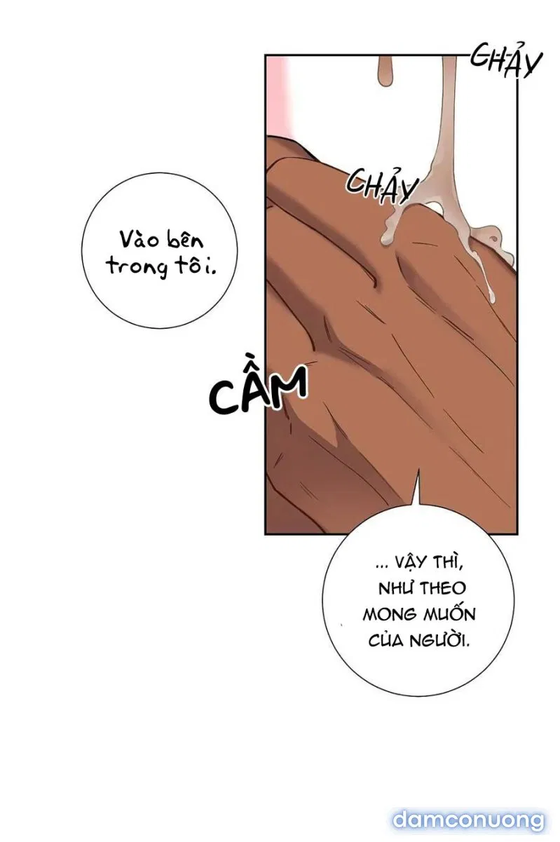 Cô Chủ Và Người Hầu 