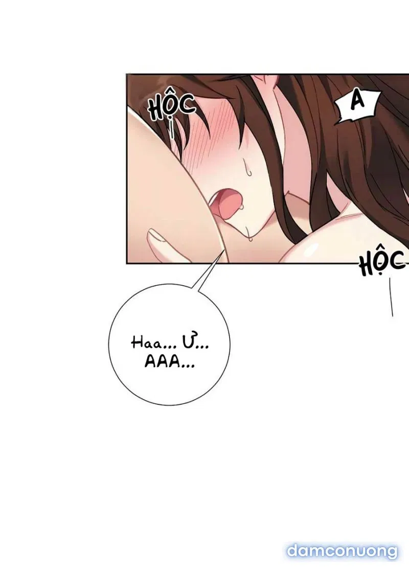 Cô Chủ Và Người Hầu 
