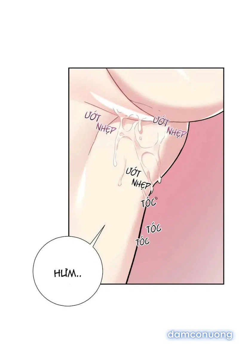Cô Chủ Và Người Hầu 