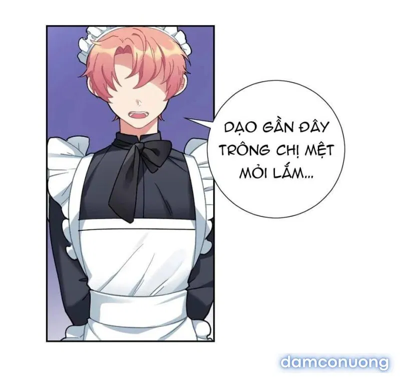Cô Chủ Và Người Hầu 