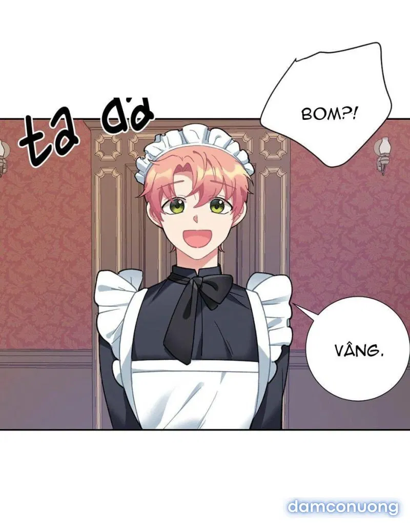 Cô Chủ Và Người Hầu 