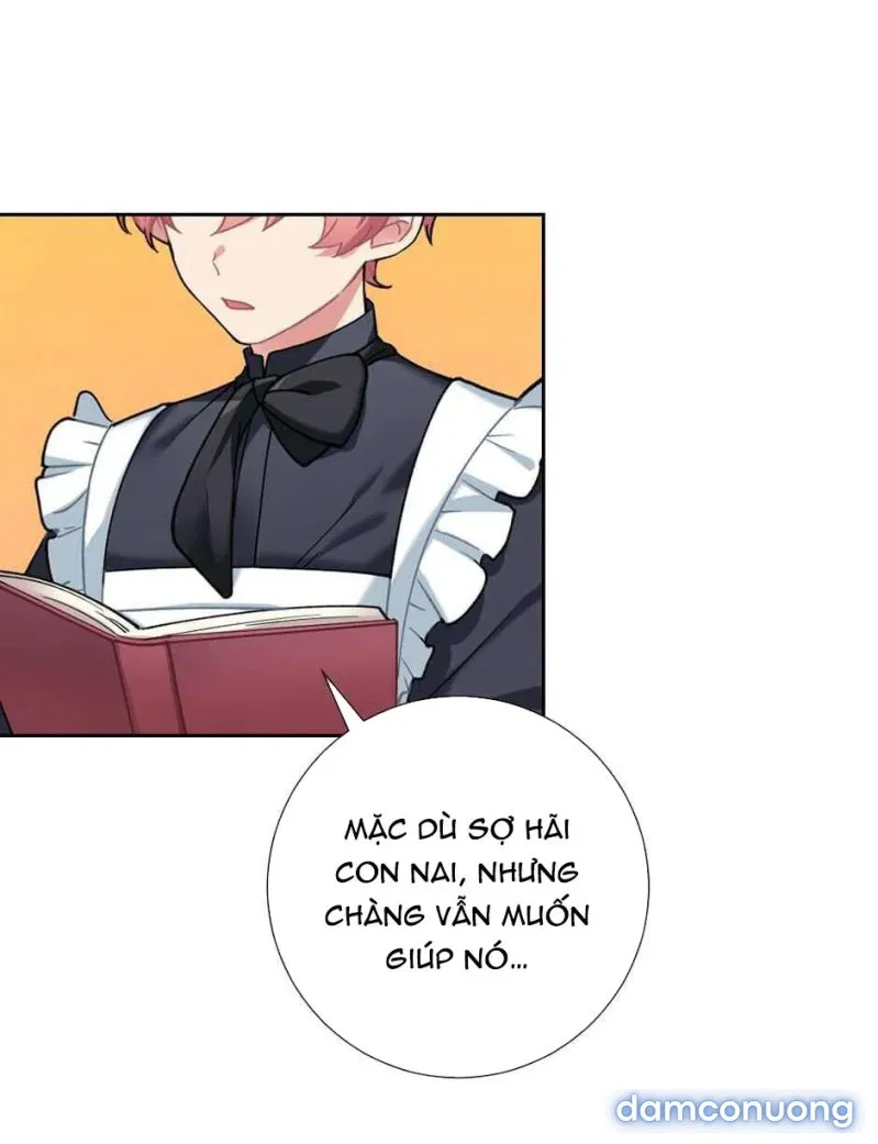 Cô Chủ Và Người Hầu 