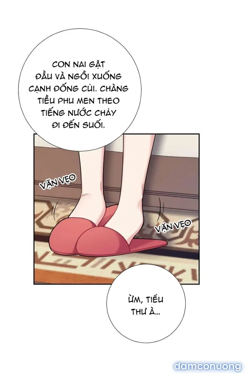 Cô Chủ Và Người Hầu 