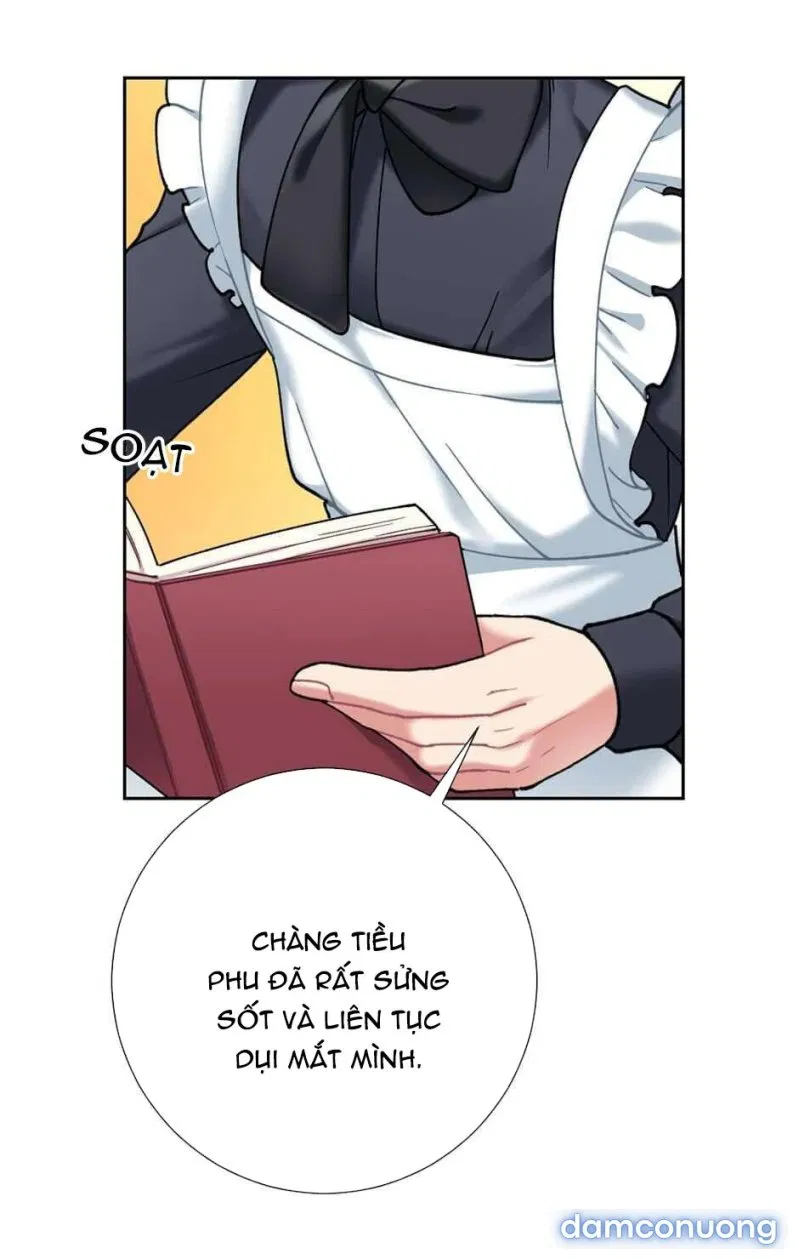 Cô Chủ Và Người Hầu 
