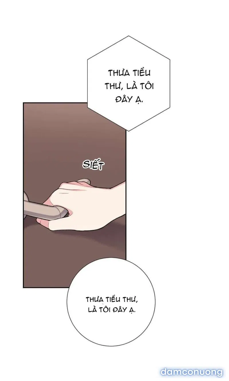 Cô Chủ Và Người Hầu 