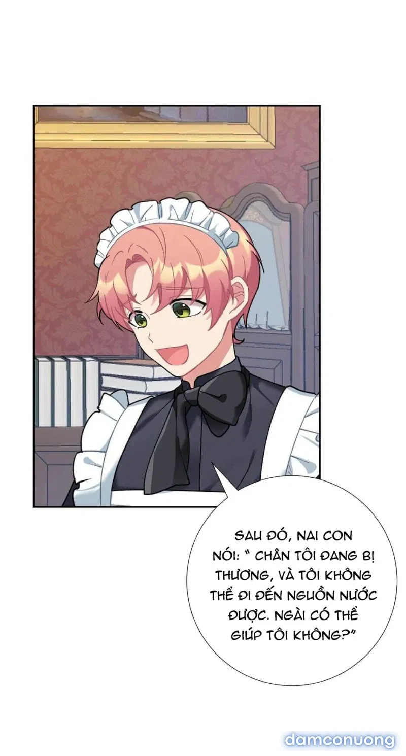 Cô Chủ Và Người Hầu 