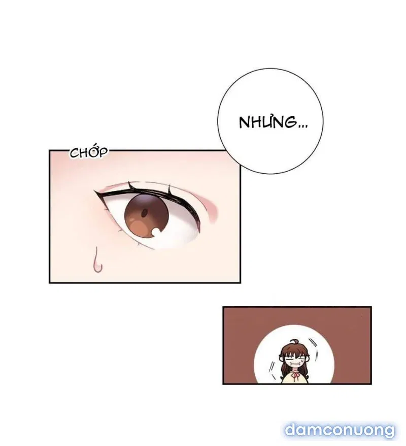 Cô Chủ Và Người Hầu 