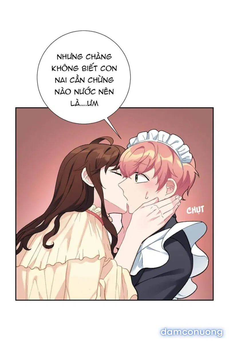 Cô Chủ Và Người Hầu 