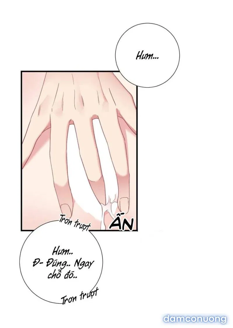 Cô Chủ Và Người Hầu 