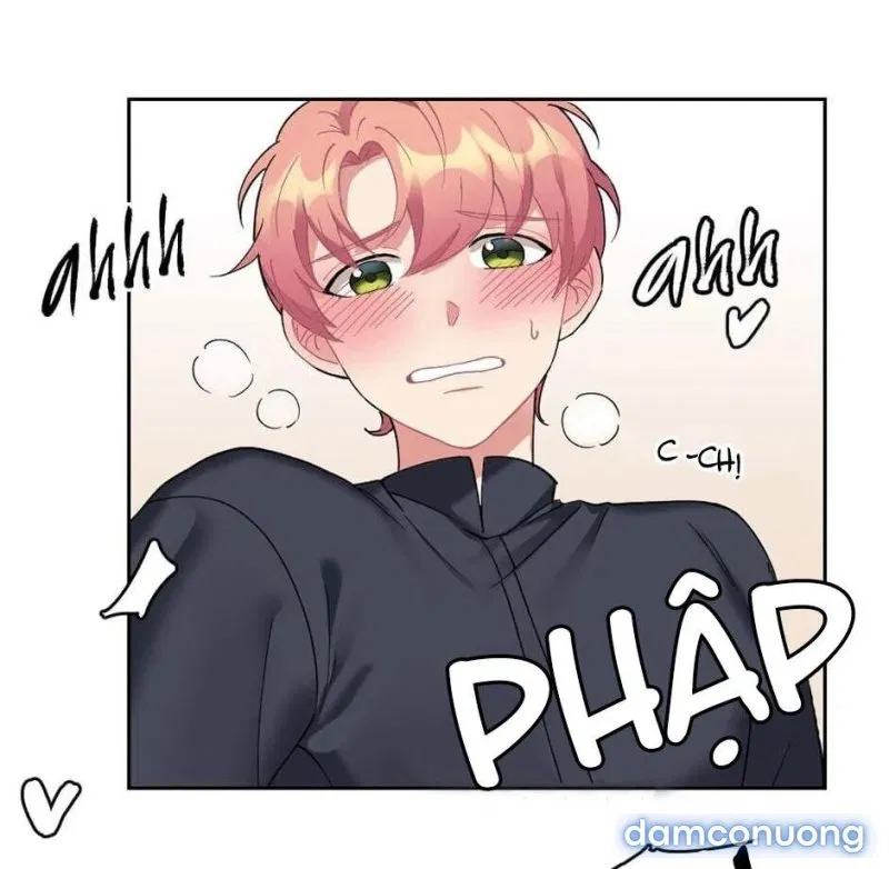 Cô Chủ Và Người Hầu 