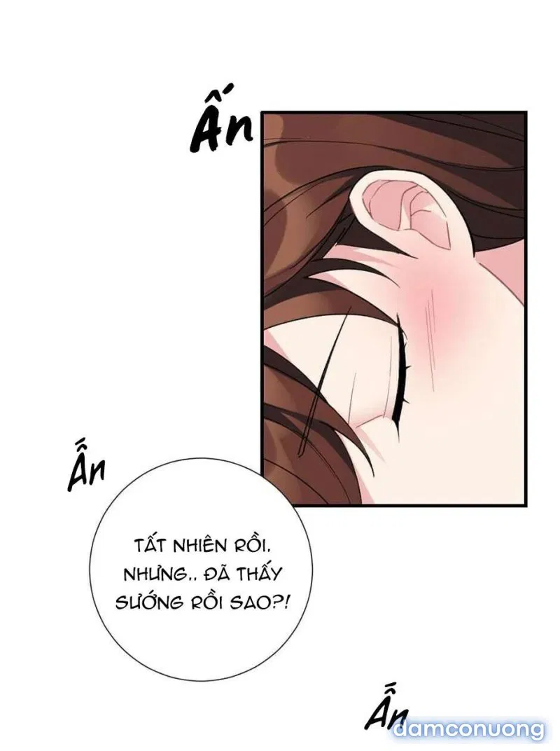 Cô Chủ Và Người Hầu 