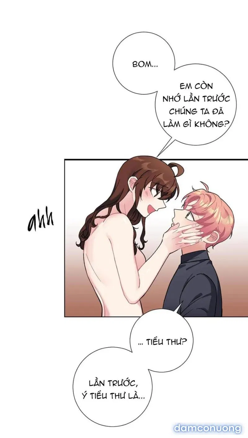 Cô Chủ Và Người Hầu 