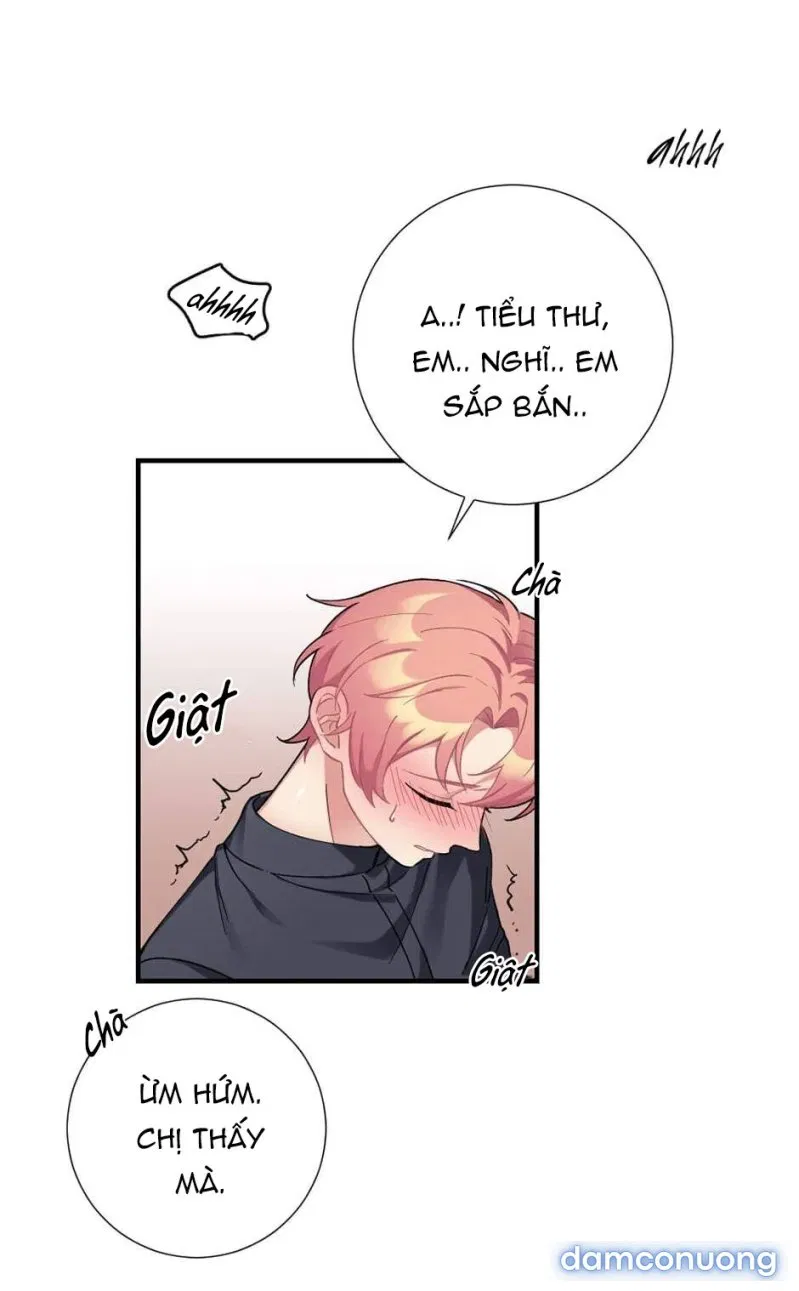 Cô Chủ Và Người Hầu 