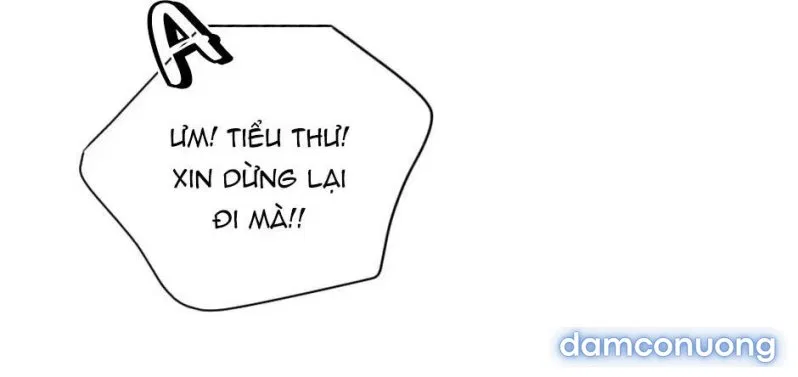 Cô Chủ Và Người Hầu 