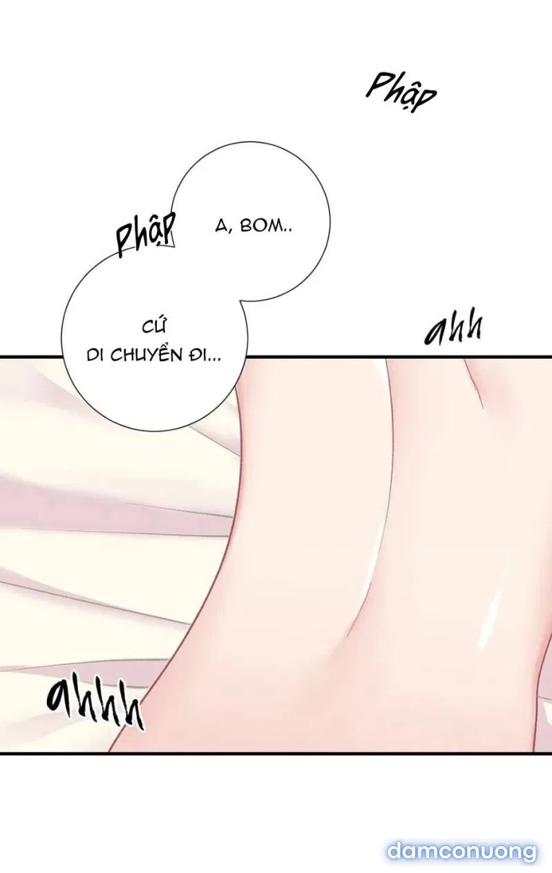 Cô Chủ Và Người Hầu 
