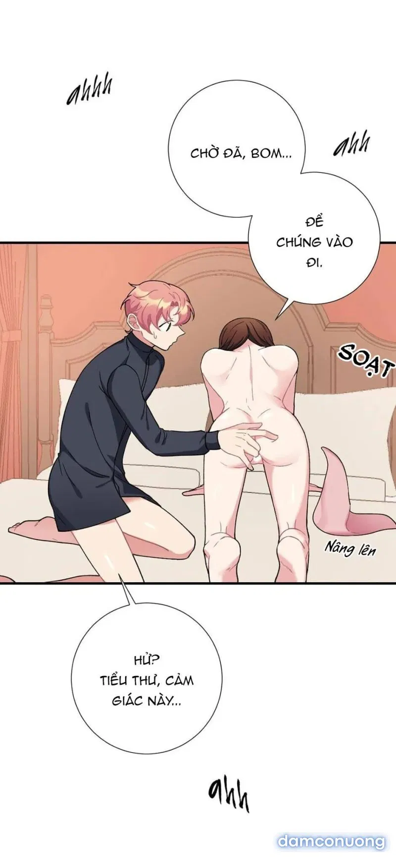 Cô Chủ Và Người Hầu 