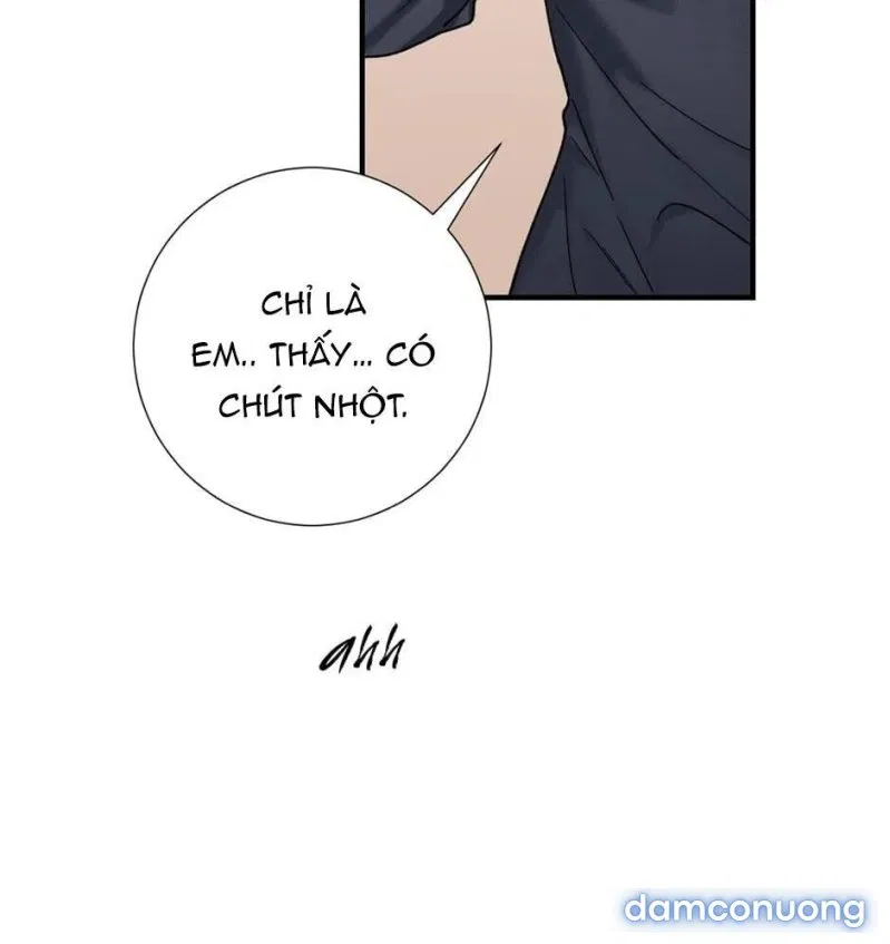 Cô Chủ Và Người Hầu 