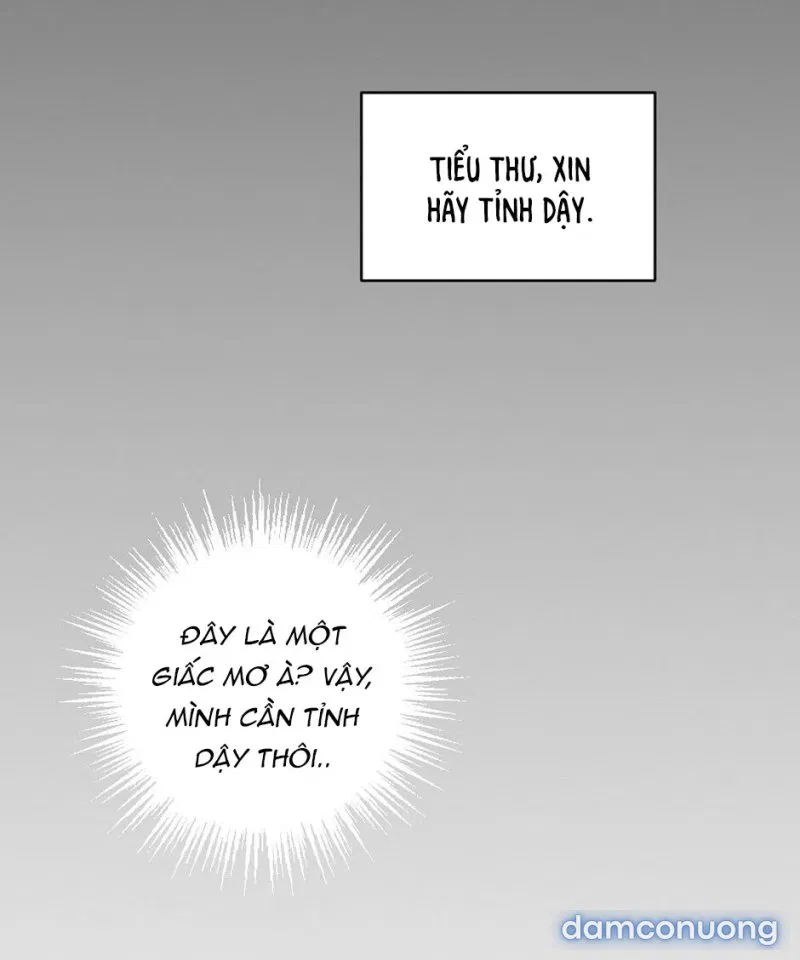 Cô Chủ Và Người Hầu 
