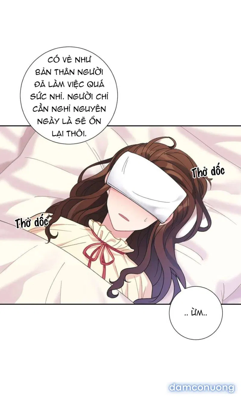 Cô Chủ Và Người Hầu 