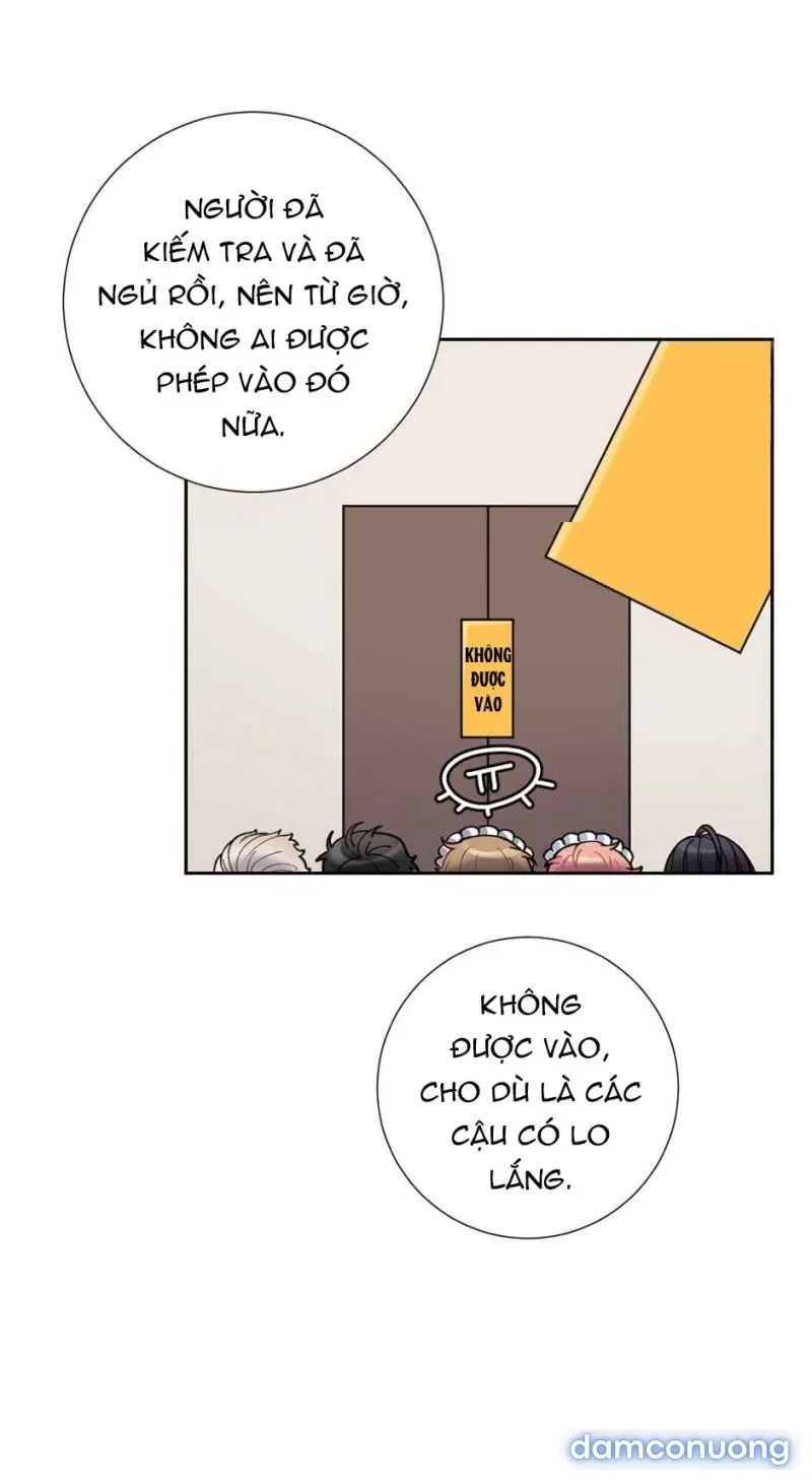 Cô Chủ Và Người Hầu 