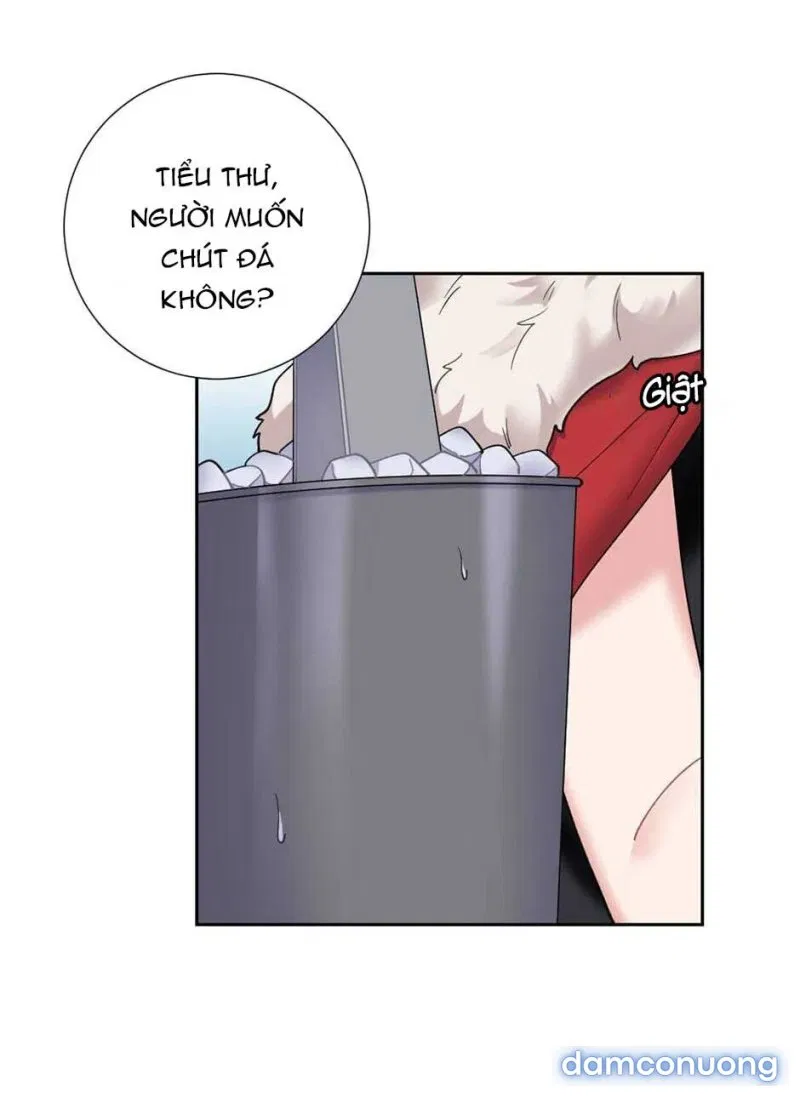 Cô Chủ Và Người Hầu 