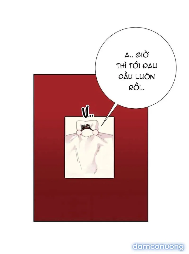 Cô Chủ Và Người Hầu 